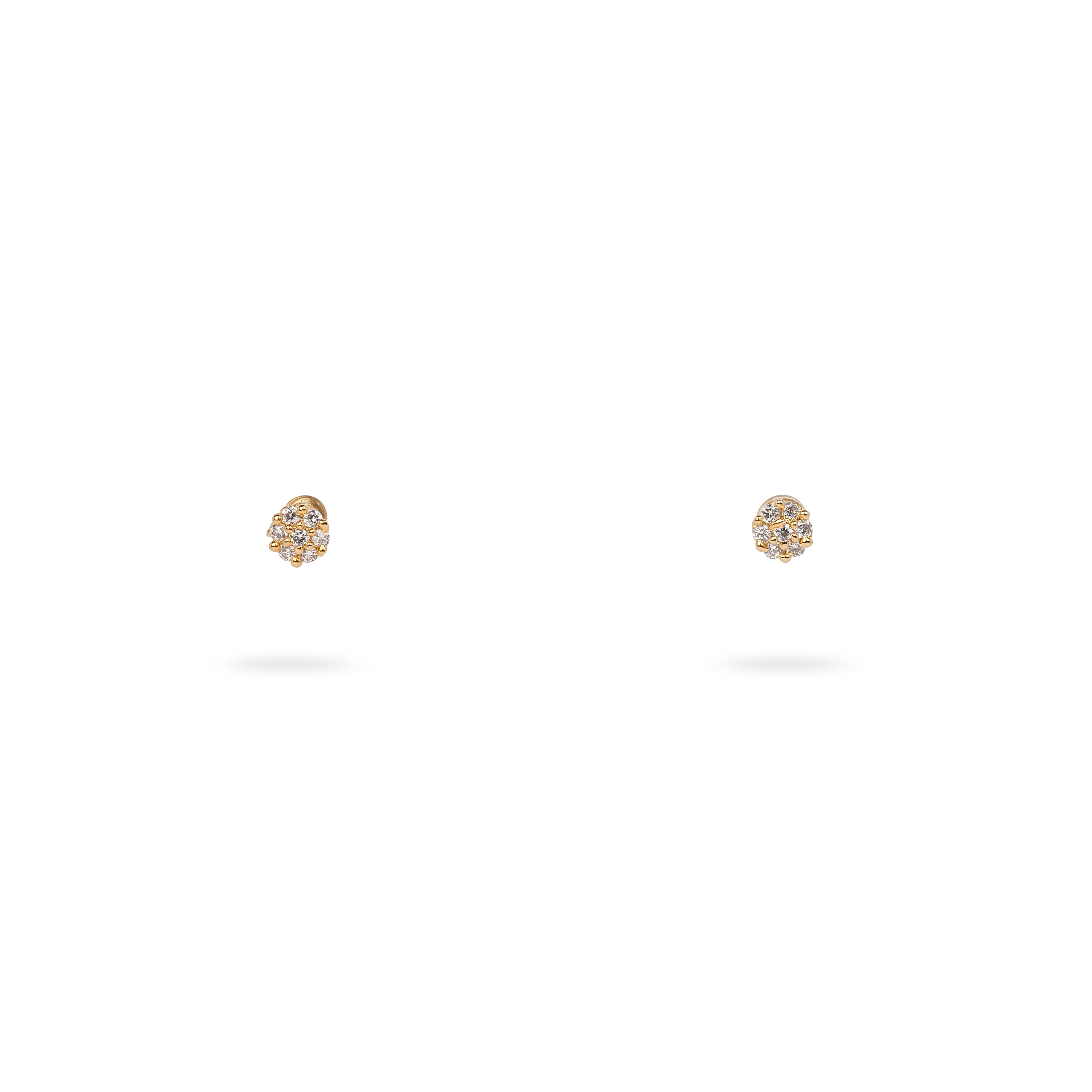 Classic Round Cubic Zirconia Ear Studs in Gold