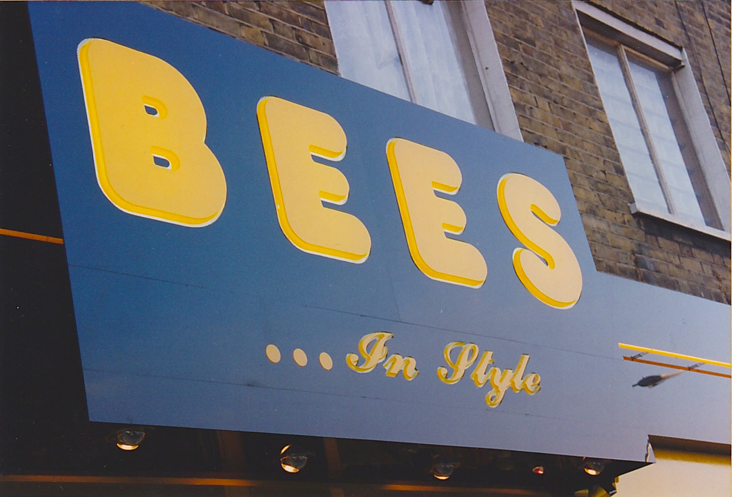Why we chose the name Bees?